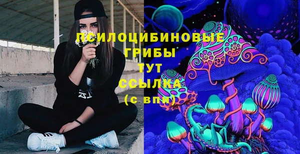 ГАЛЛЮЦИНОГЕННЫЕ ГРИБЫ Абаза