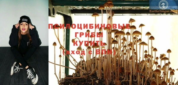 ГАЛЛЮЦИНОГЕННЫЕ ГРИБЫ Абаза