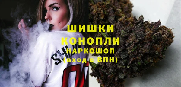 ГАЛЛЮЦИНОГЕННЫЕ ГРИБЫ Абаза