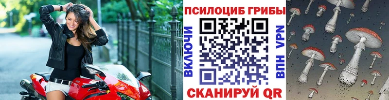 Галлюциногенные грибы MAGIC MUSHROOMS blacksprut ONION Сысерть